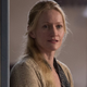 Image for article titled All the Latest on S.H.I.E.L.D., Walking Dead, Orphan Black, and More!